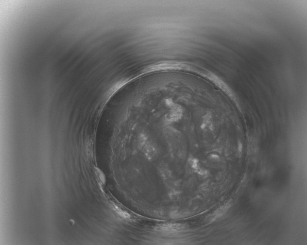 X0000062140953200512121238