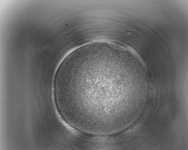 X0000062140955200512121238