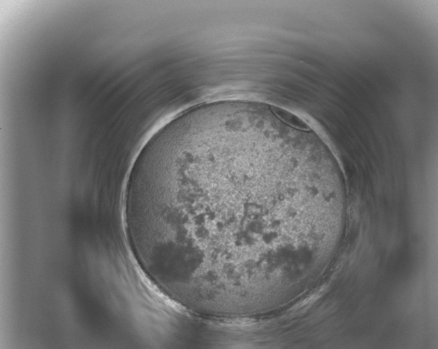 X0000062140957200512121238