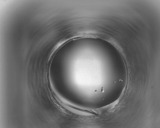 X0000062140960200512121238