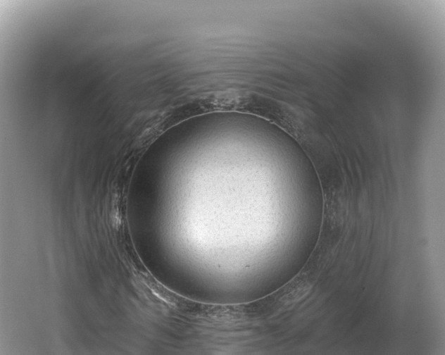 X0000062140962200512121237