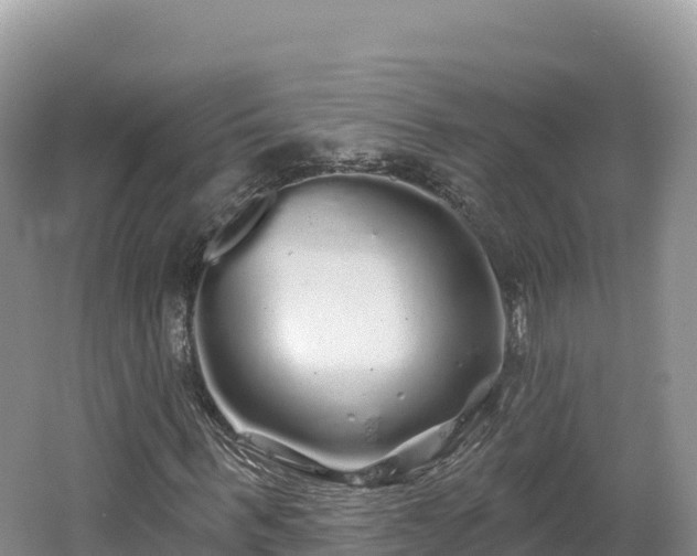 X0000062140963200512121237