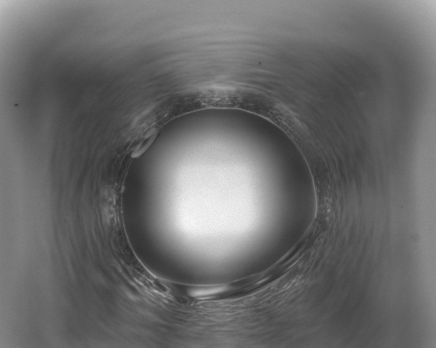 X0000062140964200512121237