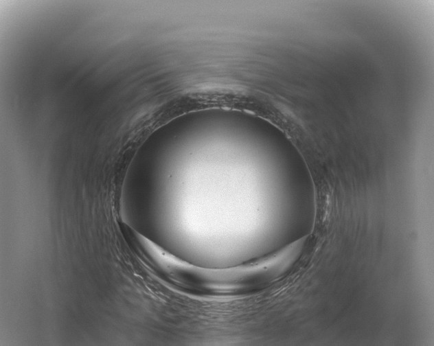 X0000062140965200512121237