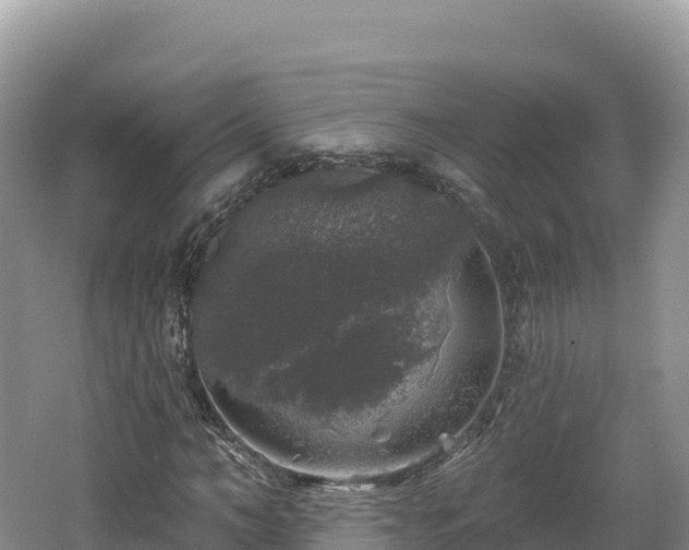 X0000062140966200512121237