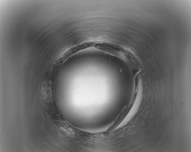 X0000062140968200512121237