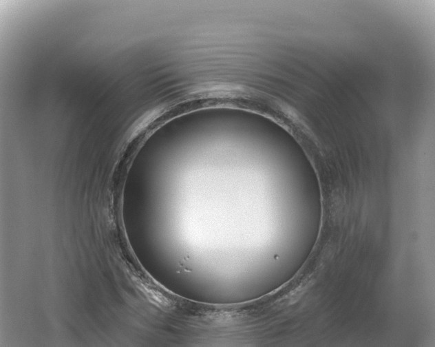 X0000062140970200512121237