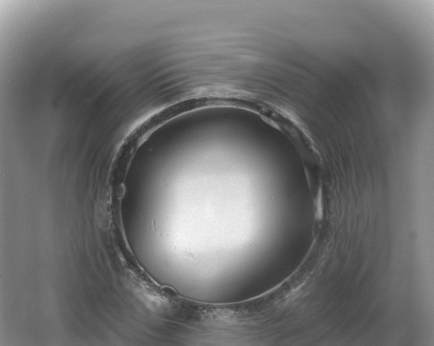 X0000062140971200512121237