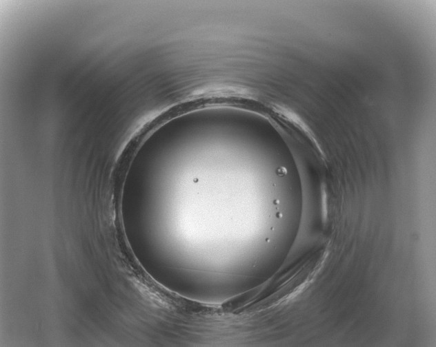 X0000062140973200512121237