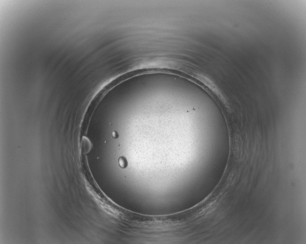 X0000062140980200512121237