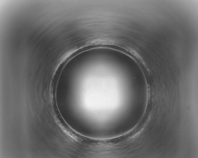 X0000062140981200512121237