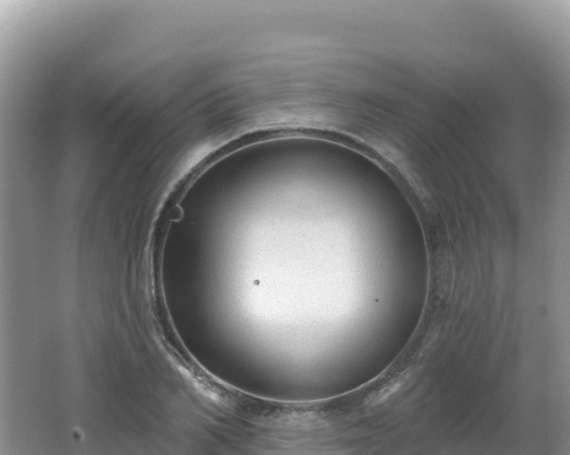 X0000062140982200512121237