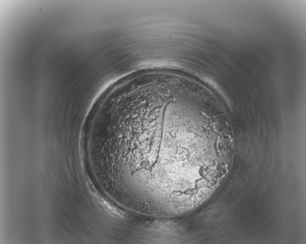 X0000062140983200512121237