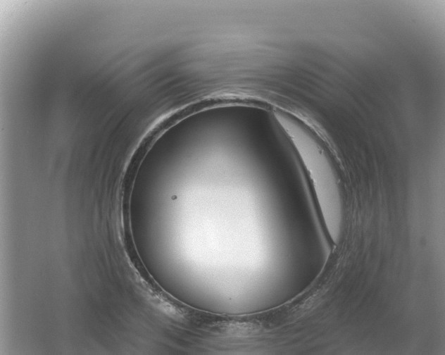 X0000062140984200512121237