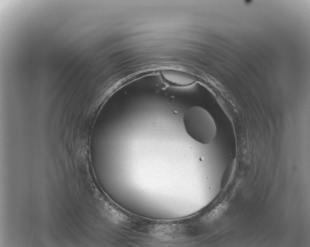 X0000062140985200512121237