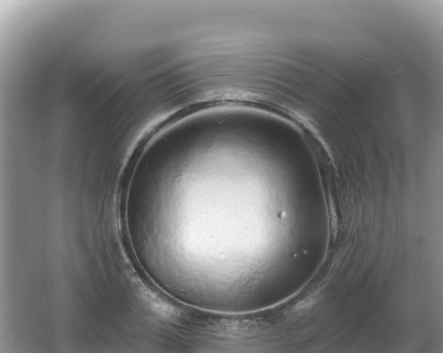 X0000062140987200512121237