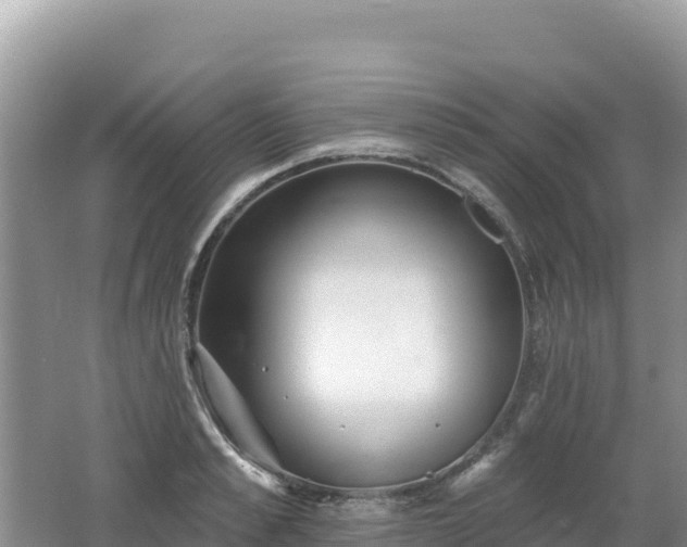 X0000062140989200512121237