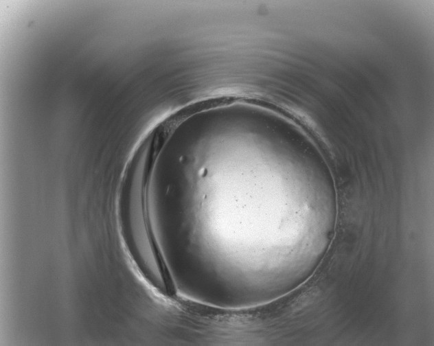 X0000062140991200512121237