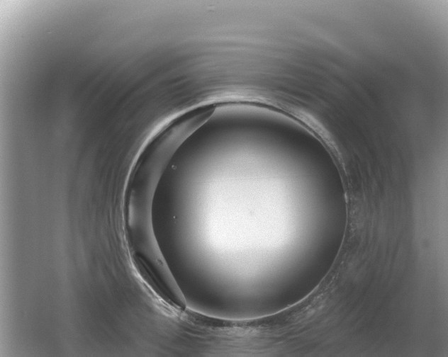 X0000062140996200512121237