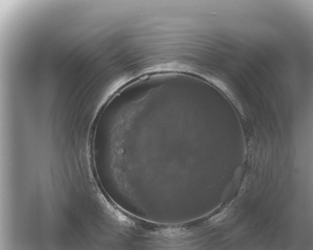 X0000062140998200512121237