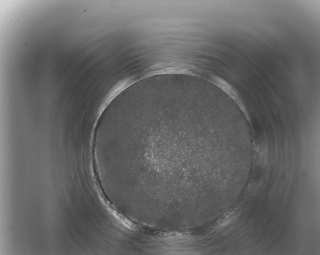 X0000062141002200512121237