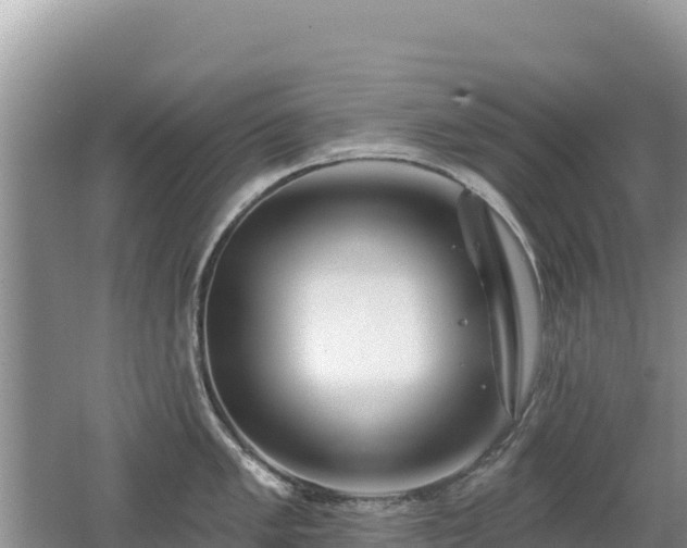 X0000062141005200512121236