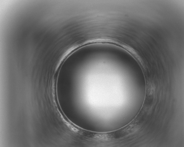 X0000062141006200512121236