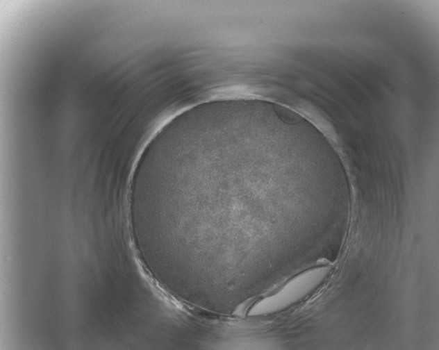 X0000062141008200512121236