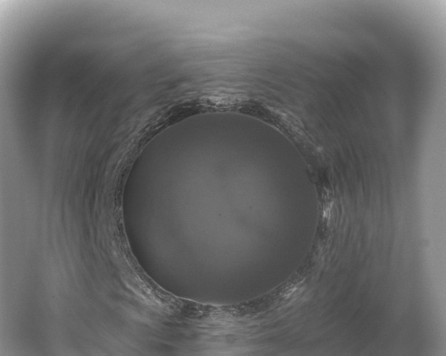 X0000062141009200512121236