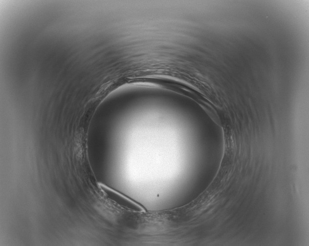 X0000062141012200512121236