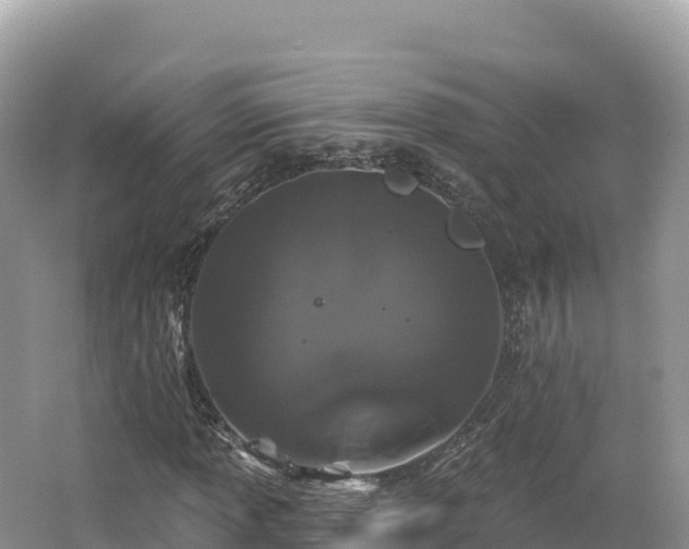 X0000062141013200512121236