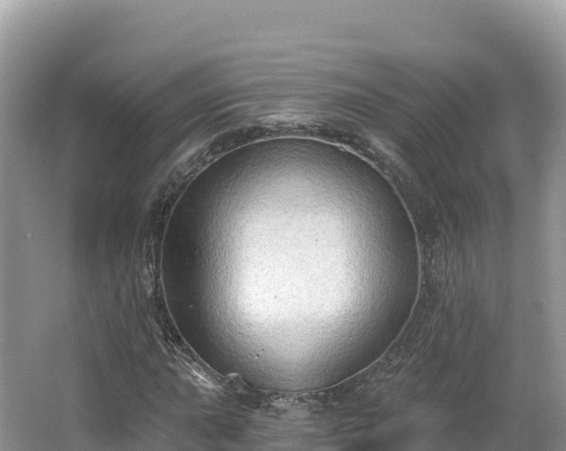 X0000062141015200512121236