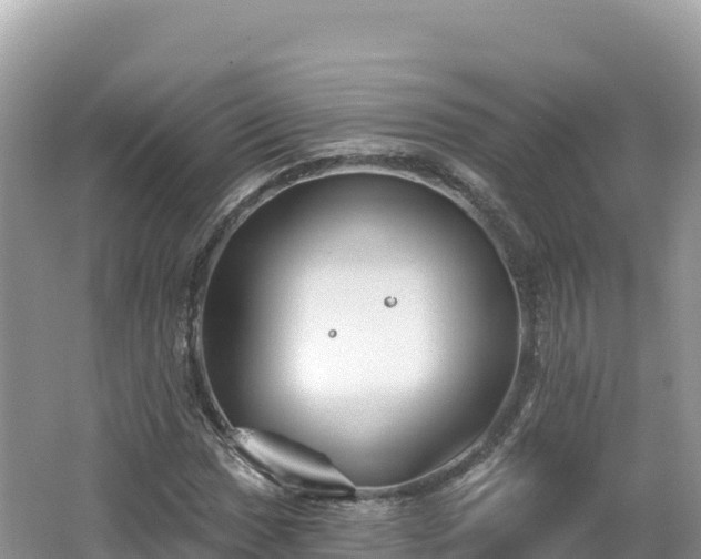 X0000062141017200512121236