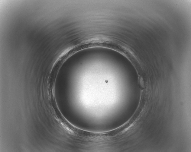 X0000062141018200512121236