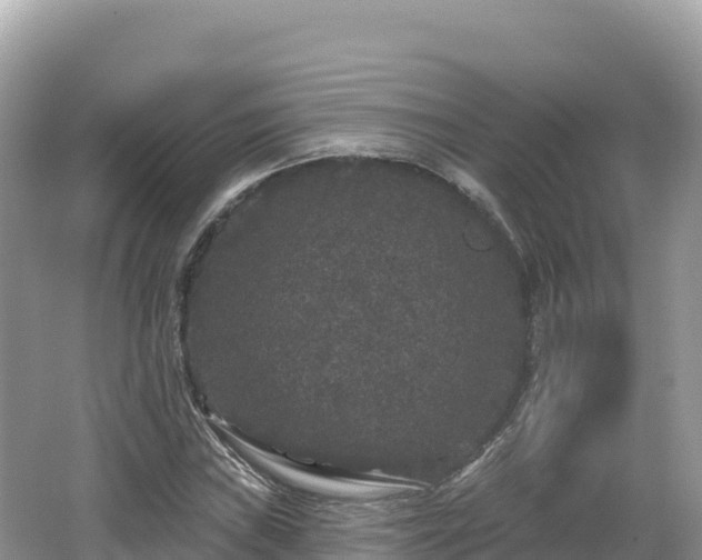 X0000062141019200512121236