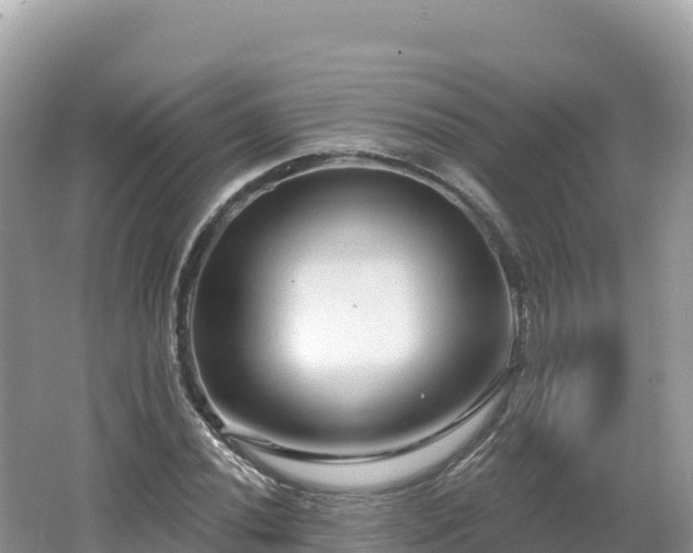 X0000062141020200512121236