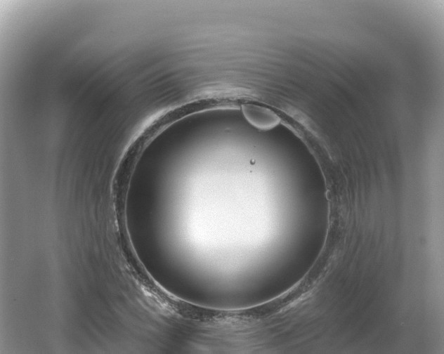 X0000062141022200512121236