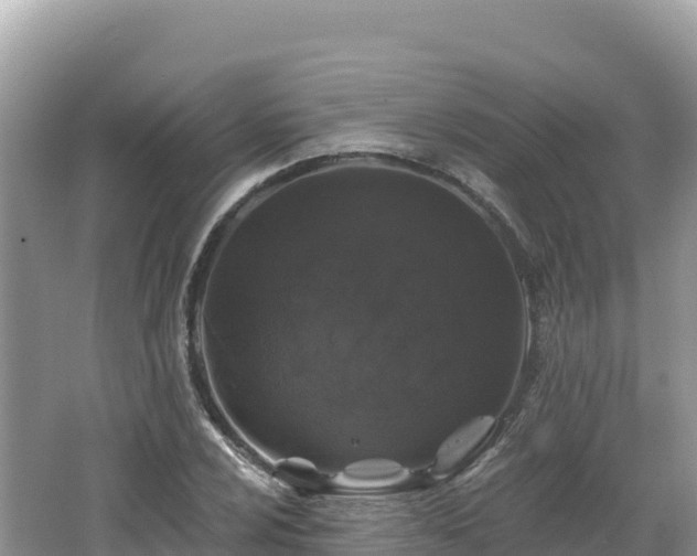 X0000062141024200512121236