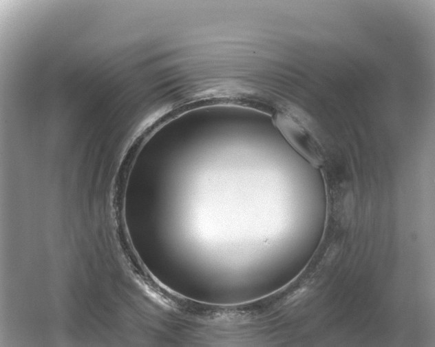 X0000062141026200512121236