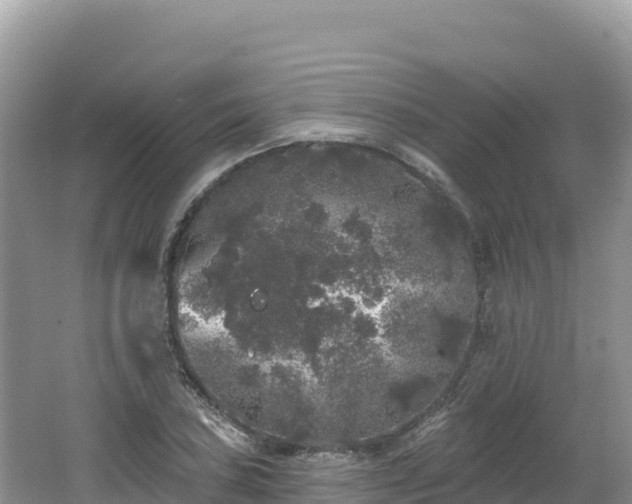 X0000062141027200512121236