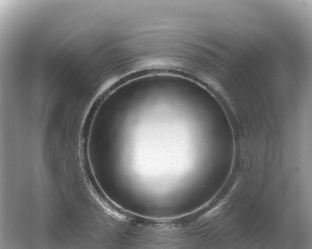 X0000062141029200512121236