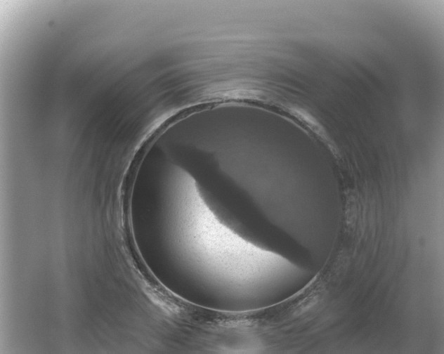 X0000062141031200512121236