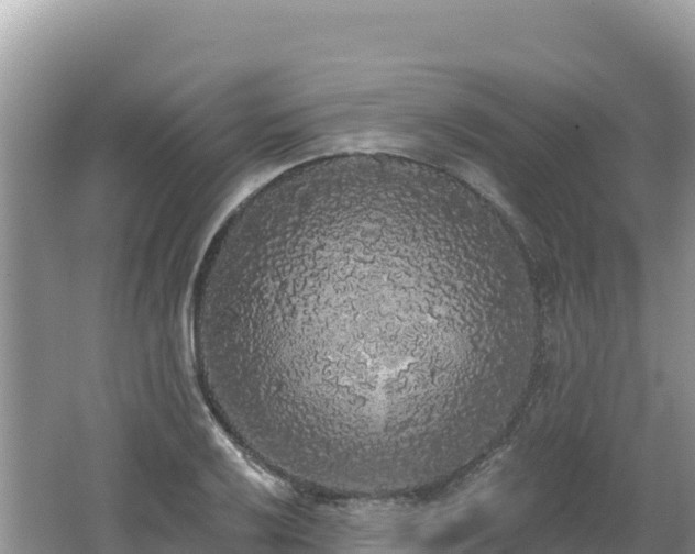 X0000062141032200512121236