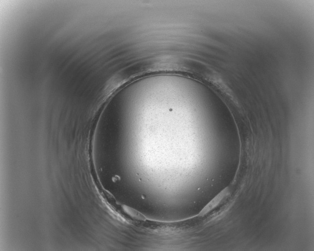 X0000062141033200512121236