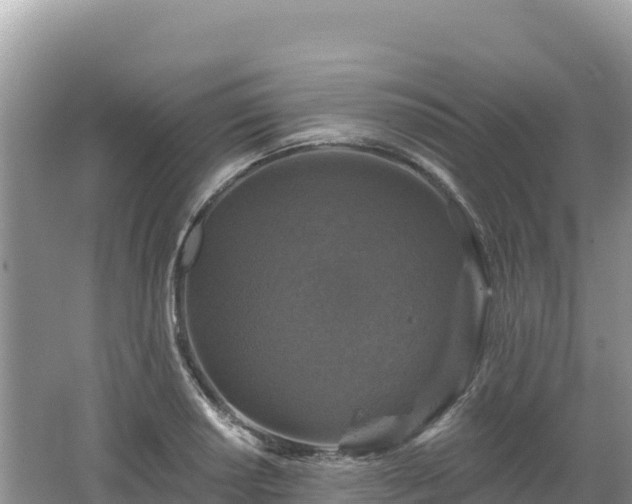 X0000062141034200512121236