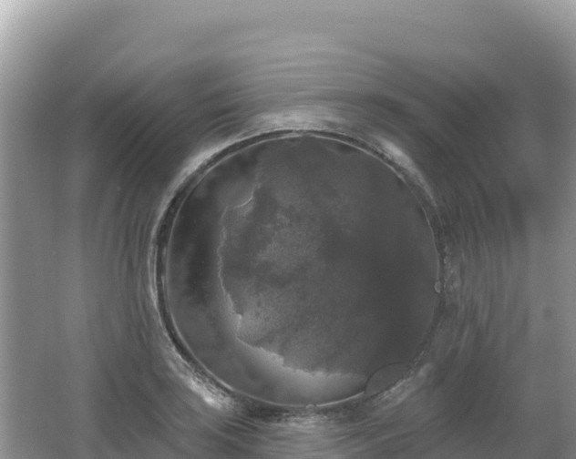 X0000062141035200512121236