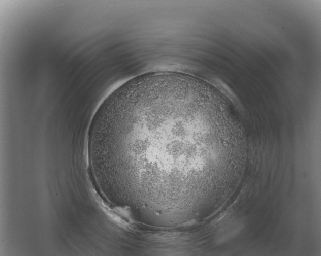 X0000062141036200512121236