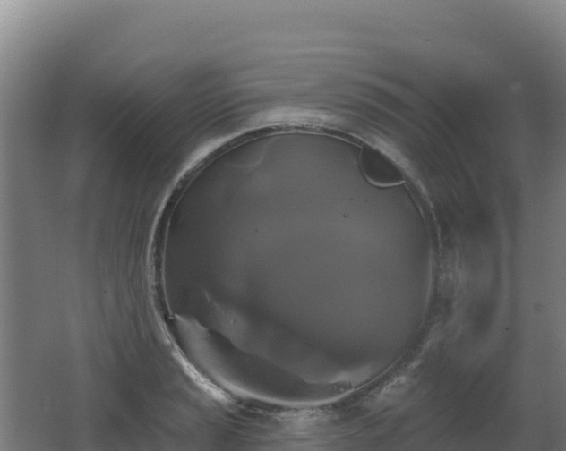 X0000062141037200512121236