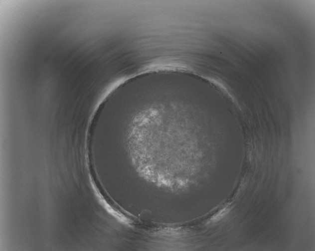 X0000062141038200512121236