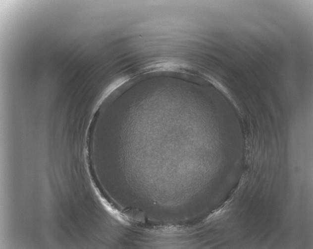 X0000062141042200512121236